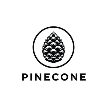 pinecone.jpg